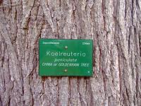 Albums/20060200-New Zealand 2006/20060201-Christchurch/32